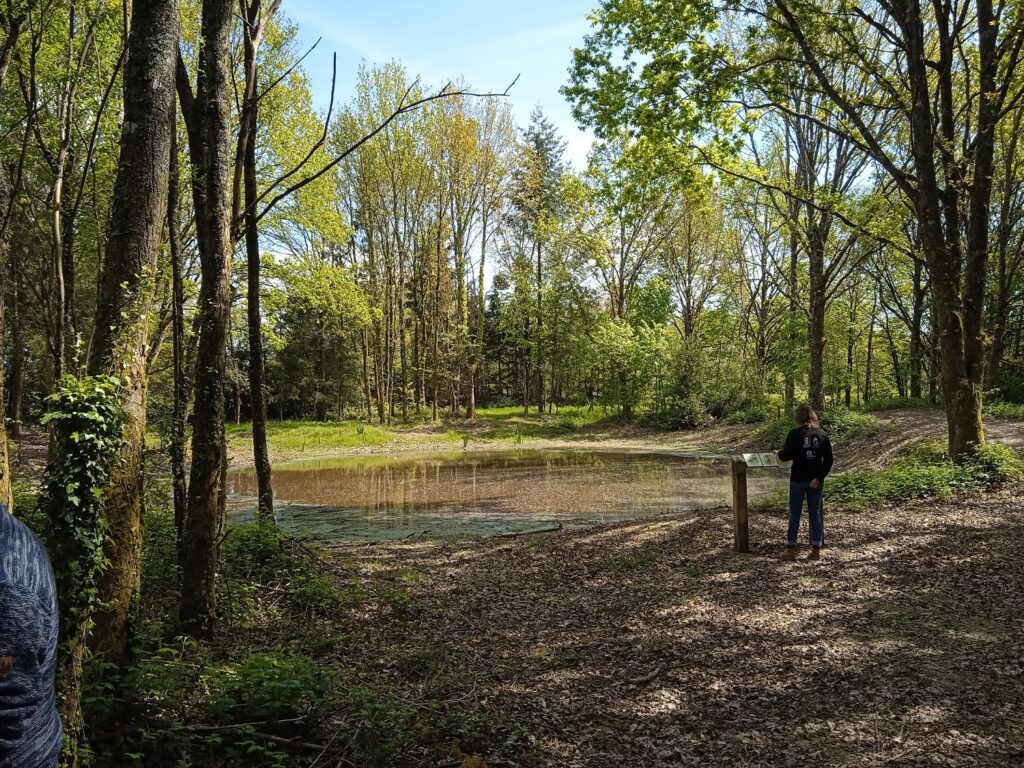 Vue d'une des mares potières