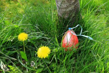 Un œuf caché au pied d'un arbre!